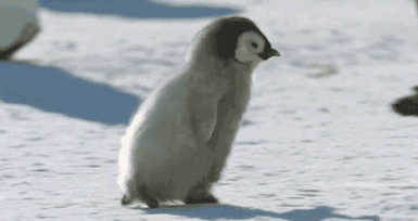 河南任性直降13℃！速凍模式已開啟！